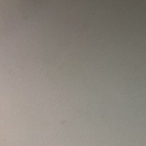 Meet your Posher, Eva